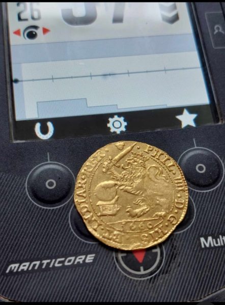 Sovereign Goldmünze gefunden